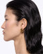 Coil Hoops Medium