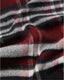 Checked Logo Scarf With Fringe