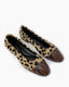 Pony Ballerina Leopard Snake