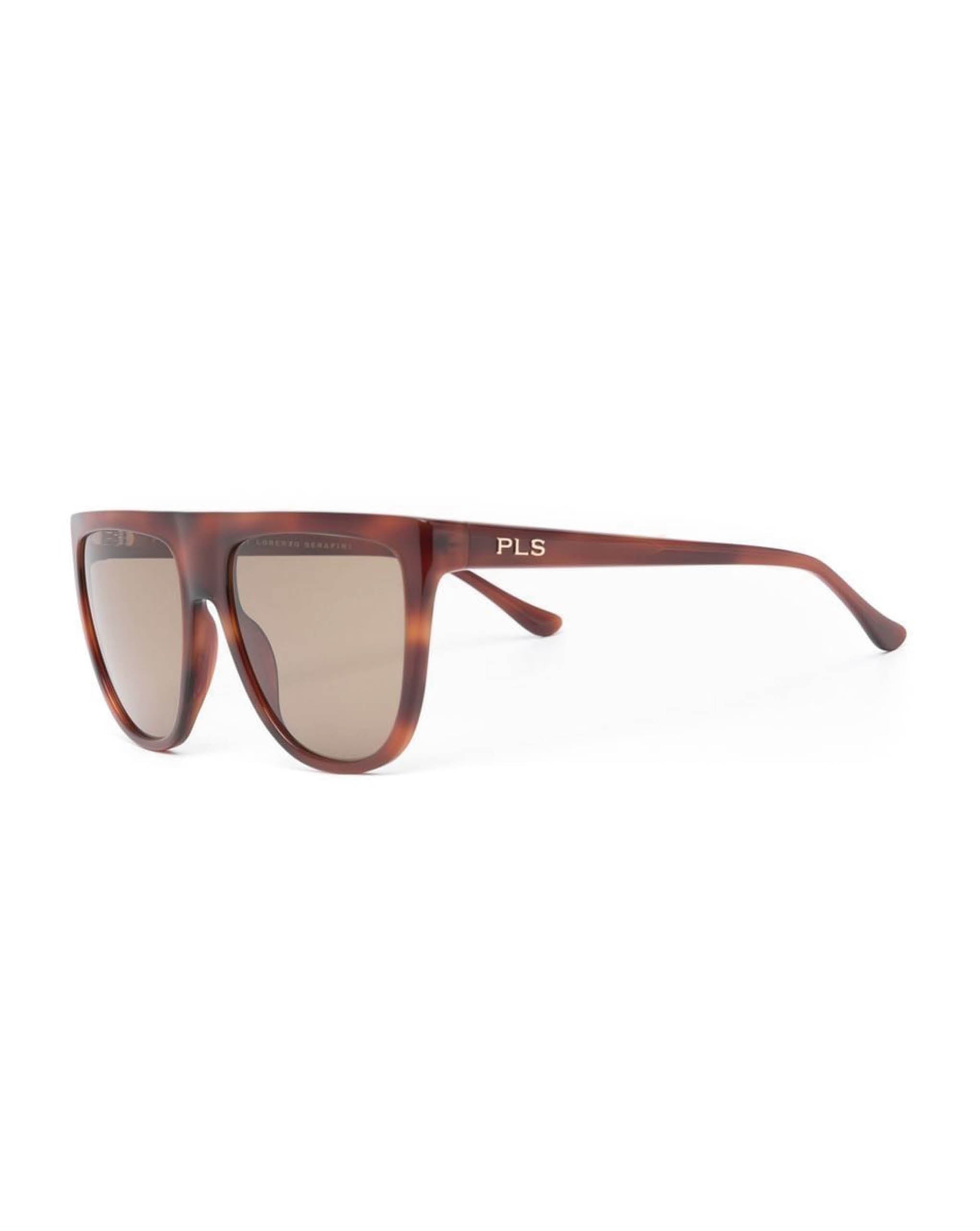 Oversized Frame Sunglasses Brown